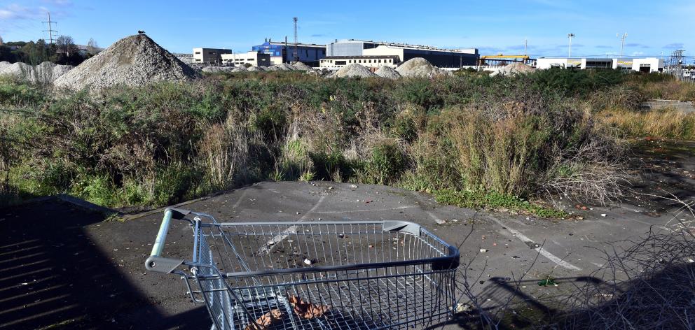 The overgrown site of the old Carisbrook Rugby Ground as it was in mid-May. Photo: Peter McIntosh.