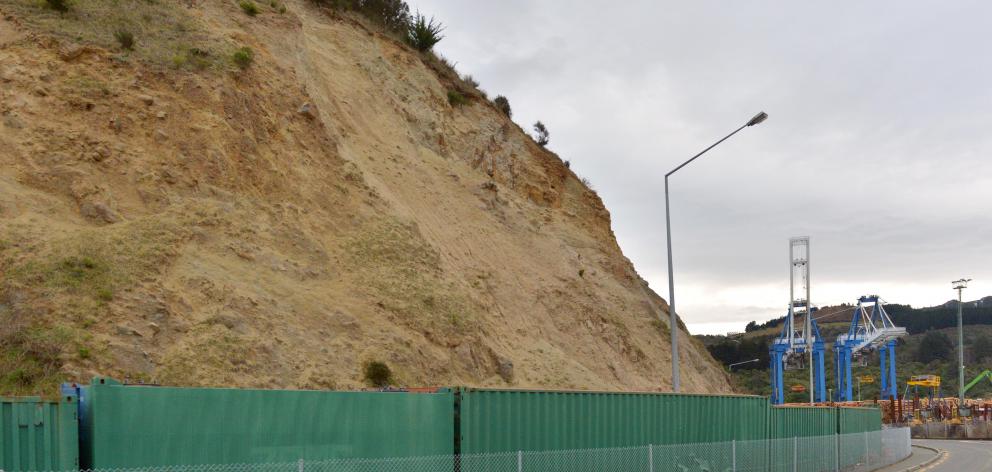 Port Otago has received resource consent for earthworks at Back Beach. Photo: Gerard O'Brien.