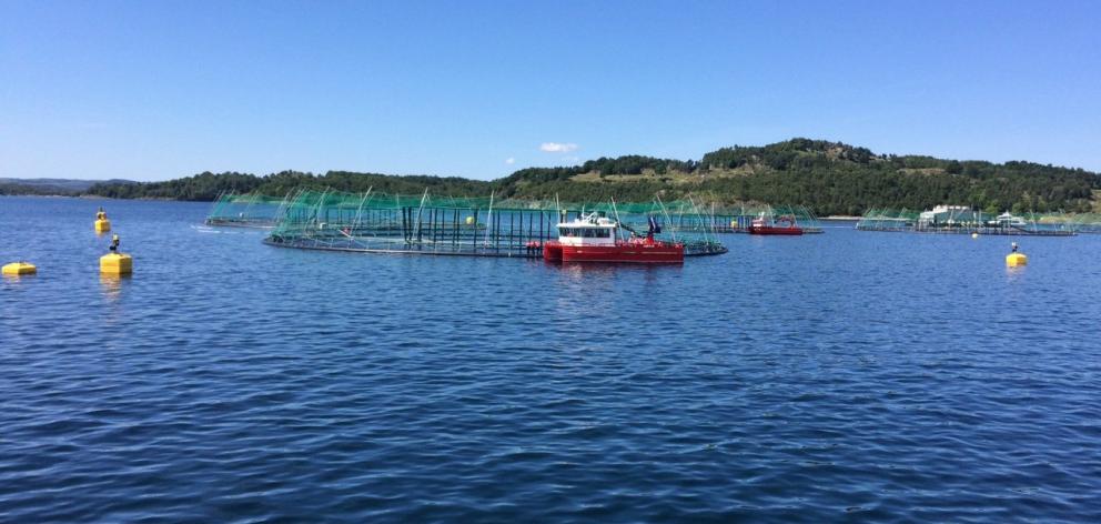 A salmon farm in Norway (above) visited in June by Venture Southland enterprise and strategic...