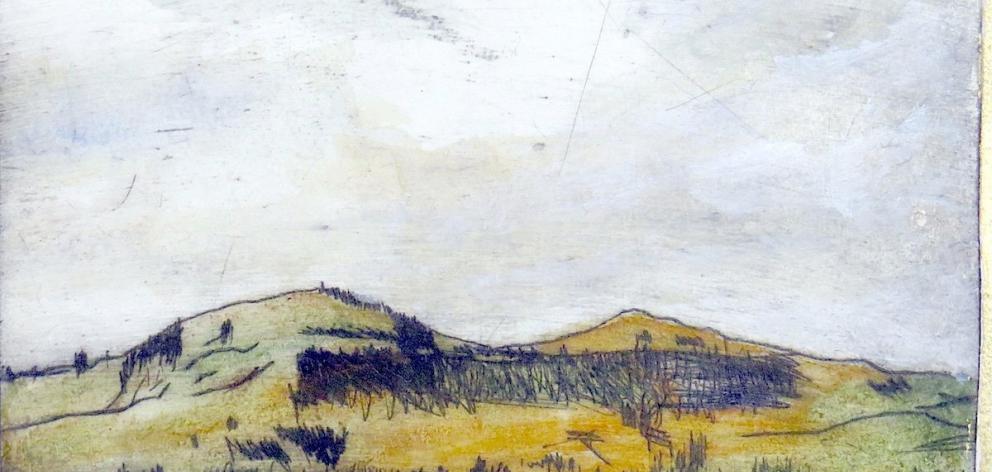 Saddle Hill, by Inge Doesburg.