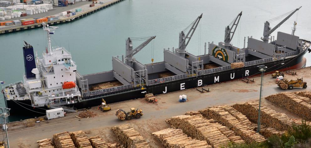 The log ship African Alke at Port Chalmers on its maiden visit last week. Photo: Gerard O'Brien.