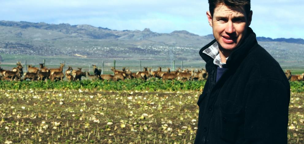 Cameron Nicolson says intensive weighing and recording are paying dividends on his Ida Valley...