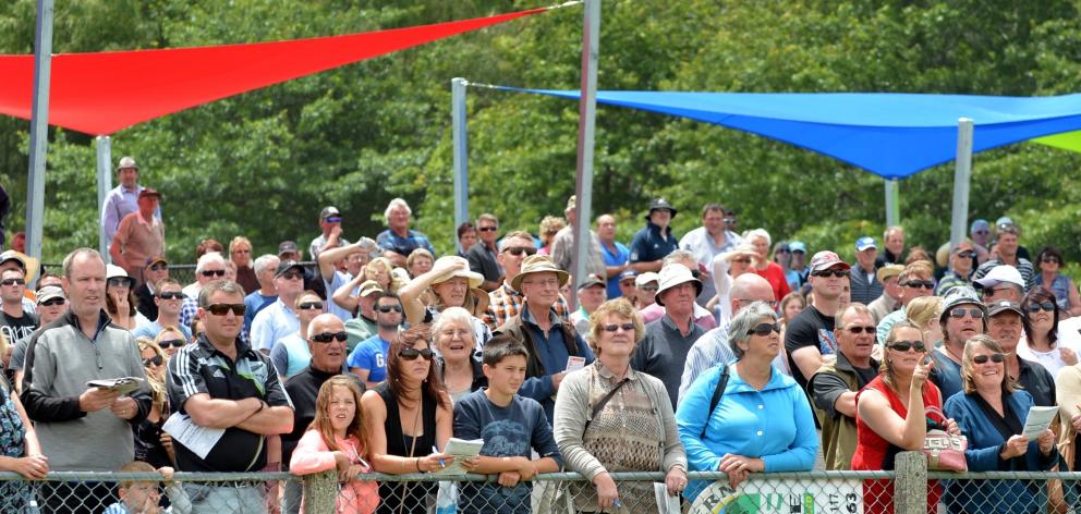 A section of the crowd at the 2014 Omakau races. Photo: Peter McIntosh.