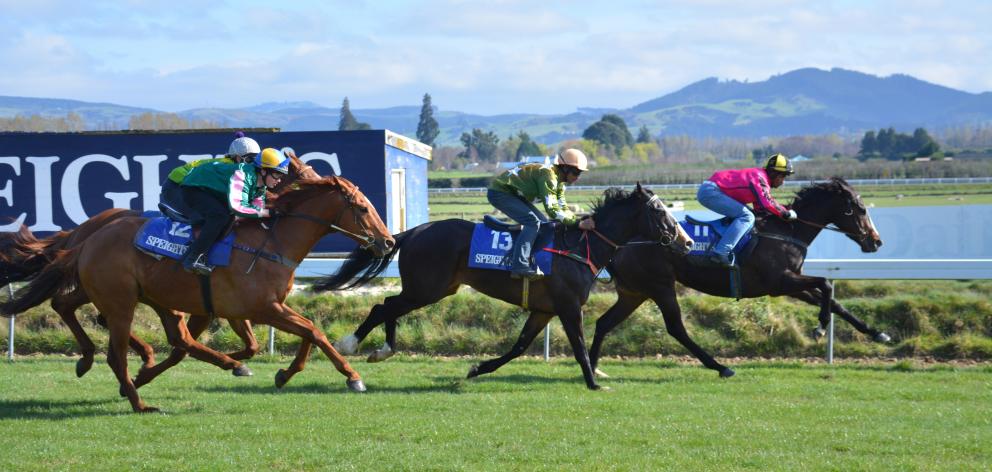 Passito (right, ridden by Kevin Kalychurun) beats Gallant Ruby (13), Tommy Tucker (12) and Fascinate (obscured) in the feature heat at the Wingatui jumpouts yesterday. Photo by Matt Smith.
