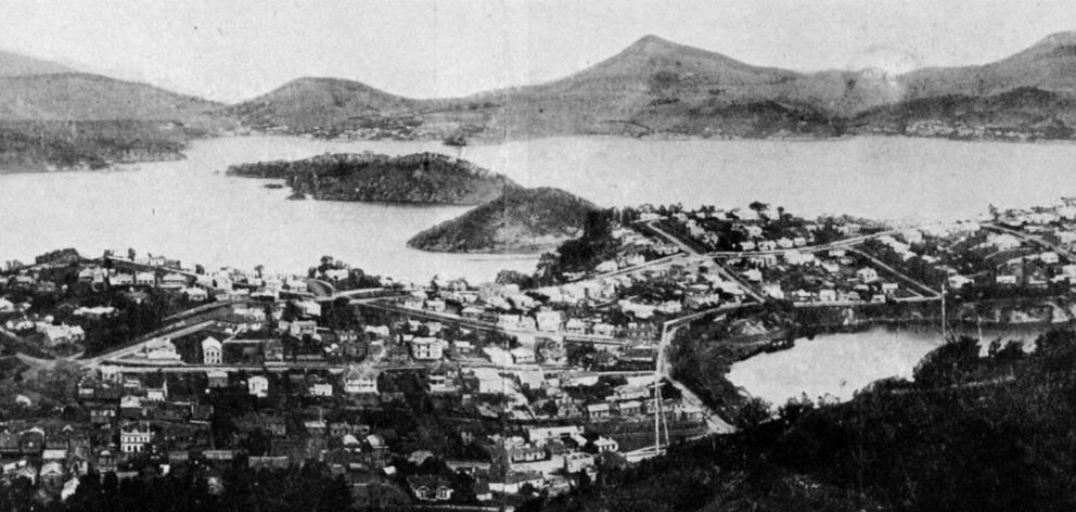 Panorama of the town of Port Chalmers looking across the Otago Harbour, showing Quarantine and...