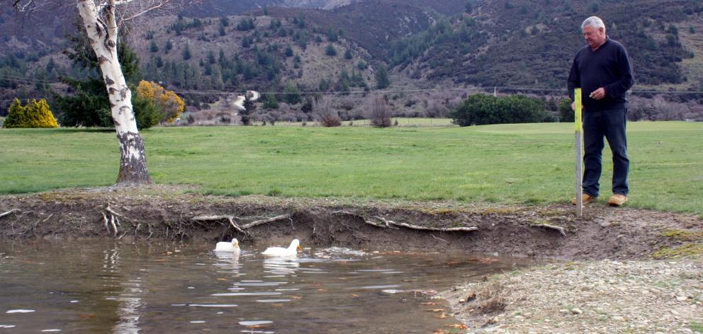 Lake Hawea Golf Course owner Richard Sullivan feeds his two remaining white ducks in a pond on...