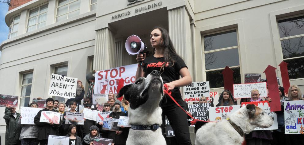 New Zealand Anti-Vivisection Society executive director Tara Jackson, with dogs, Ernie (left) and...