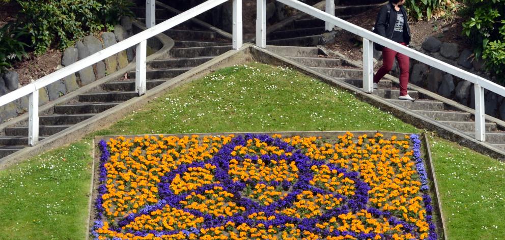 Image result for dunedin flowers stairs albany street