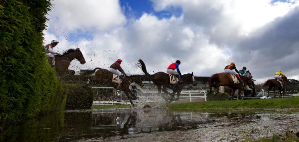 SAFE has condemned jump racing. Photo / Brett Phibbs