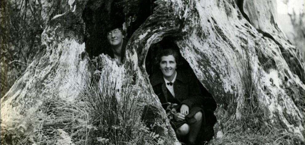 The tree stump where Stan Graham hid for a large part of the manhunt. Anthea Keenan recalls...