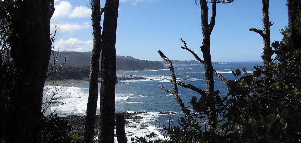 An investigation is under way after a boat from the West Coast was caught fishing in the...
