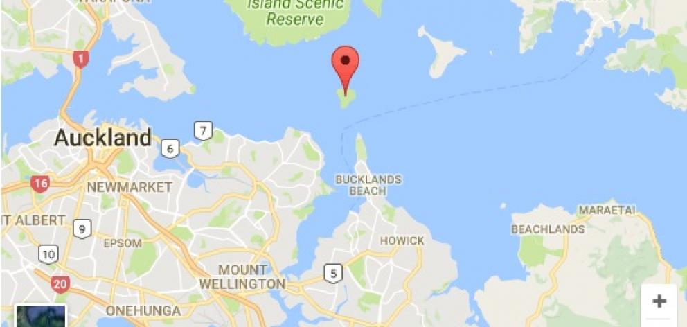 Browns Island off the coast of Auckland in the Hauraki Gulf. Photo: Google Maps