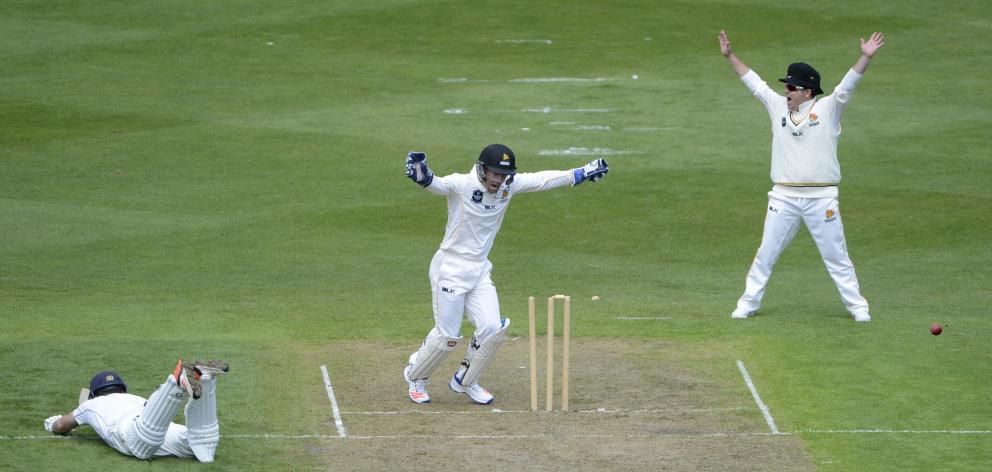 Wellington wicketkeeper Luke Ronchi and fieldsman Michael Papps celebrate as a throw from Matt Taylor strikes the stumps and catches Otago batsman Brad Wilson out of his crease during their Plunket Shield match at the University Oval in Dunedin yesterday.