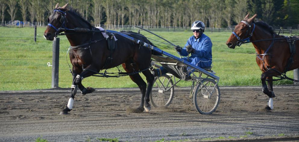 Co-trainer Mark Purdon drives New Zealand Cup favourite Lazarus during training at the All Stars...