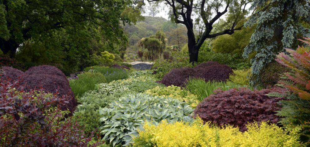 Clive Lister Garden at  Dunedin Botanic Garden. Photo: Gerard O'Brien.