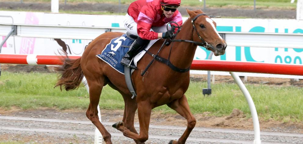 Prom Queen, ridden by Alysha Collett, wins the Welcome Stakes at Riccarton on Saturday. Photo:...