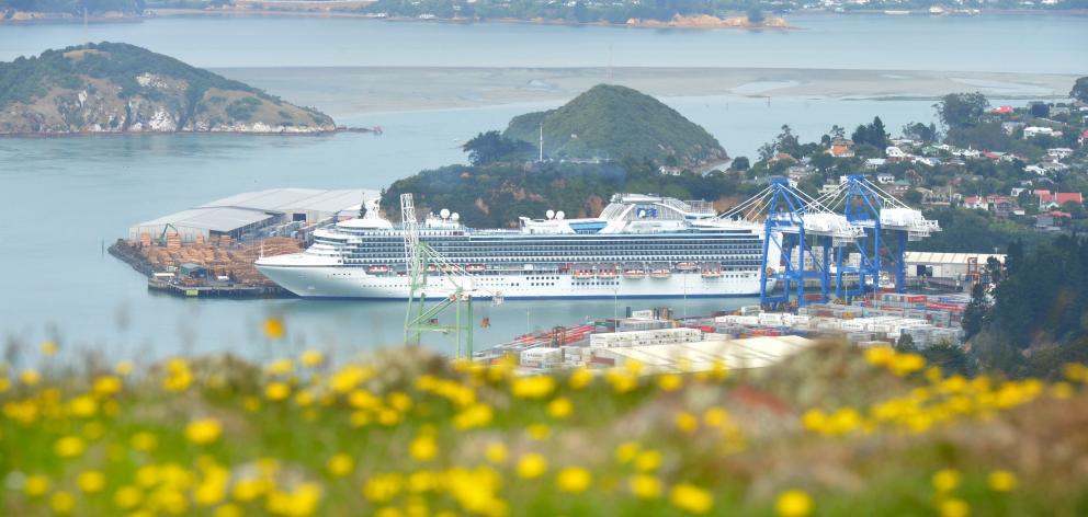 The cruise ship Diamond Princess berthed in front of Flagstaff Hill, at Port Chalmers, earlier...