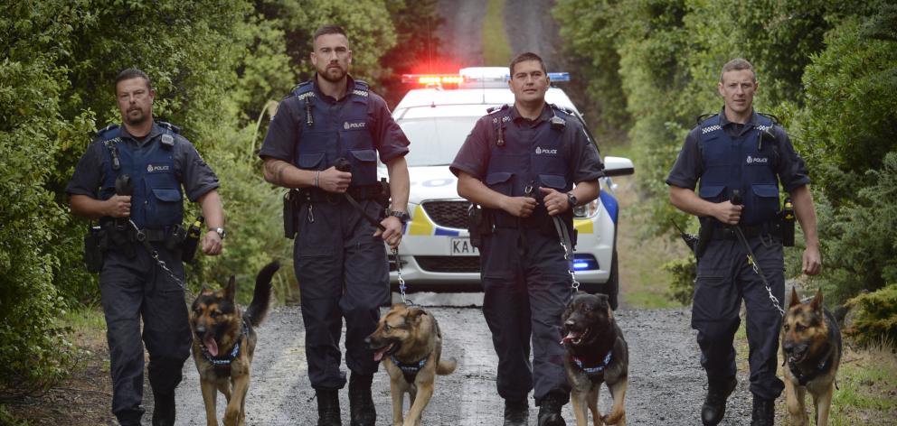 Dunedin police dog section members finding strength in numbers are (from left) Senior Constable...