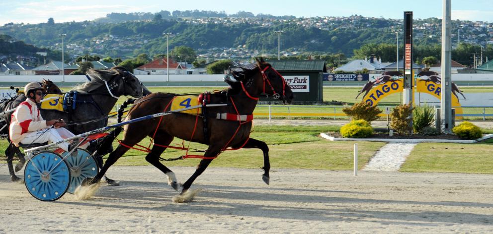 Forbury Park Trotting Club has recorded a $279,729 deficit in the 12 months to July 2016. Photo:...