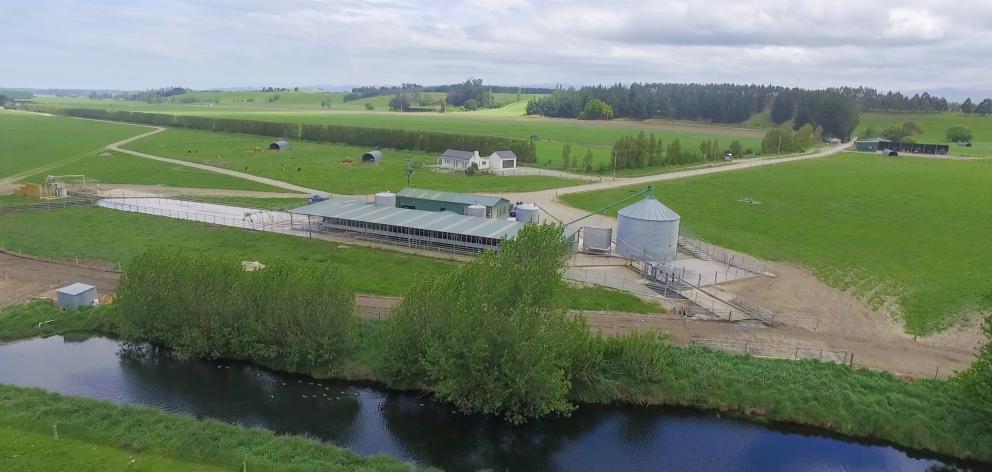 Four farms near Oamaru owned by one of New Zealand’s larger dairy farming companies, Borst...
