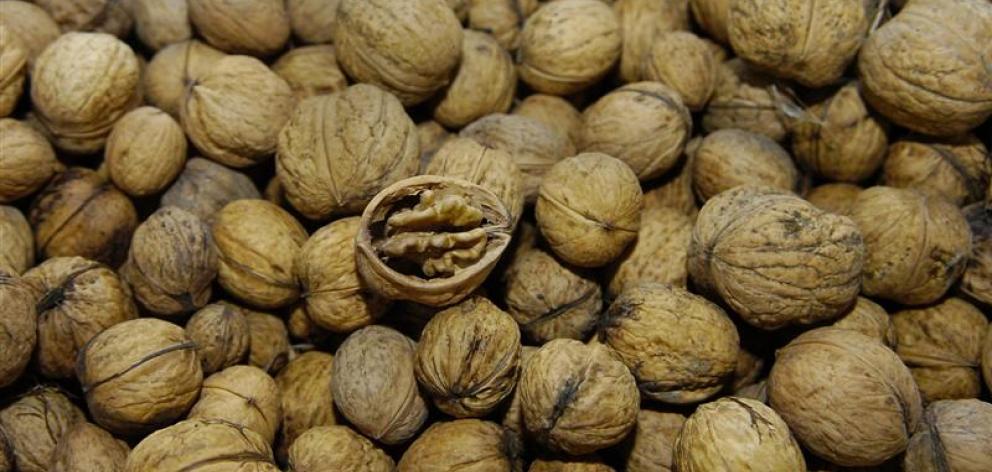 Walnuts contain both omega-3 and omega-6. Photo from ODT files.