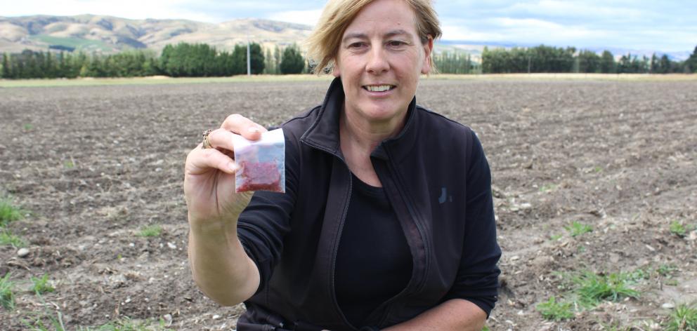 A chef by trade, Wendy King says saffron is a versatile spice that enhances other flavours. Photo...