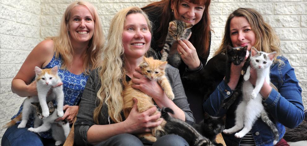 The women behind Animal Rescue (from left) Audrey Ross, Ana Andrianova, Sharon Pine and Linda...