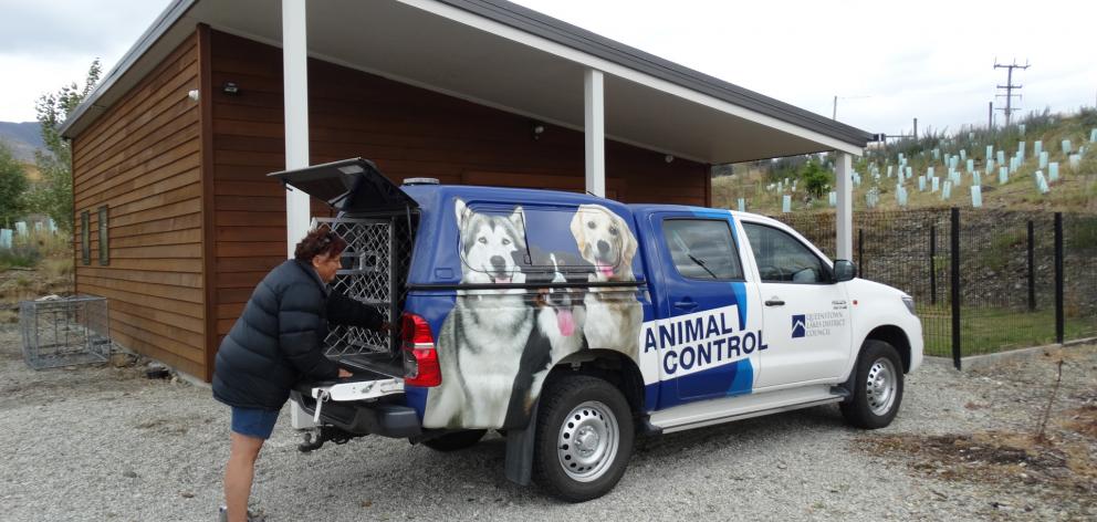 QLDC Animal Control officer Glenda Roger prepares for the Wanaka pound’s first open day.  Photo:...