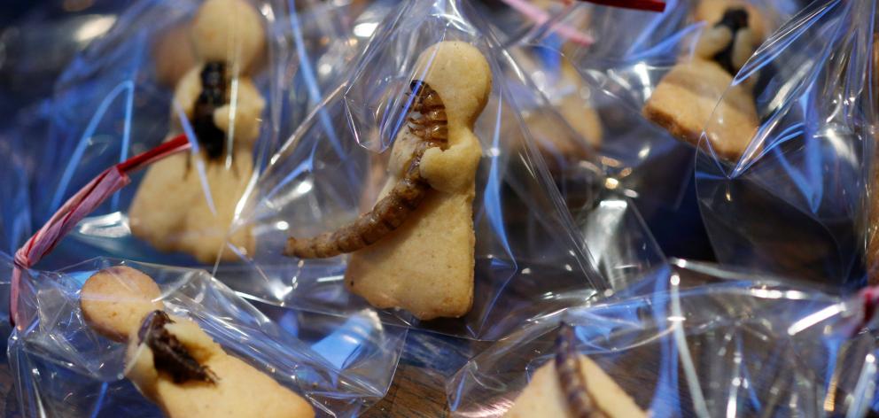 Cookies with insects are pictured at a bar in downtown Tokyo, Japan. Photo: Reuters