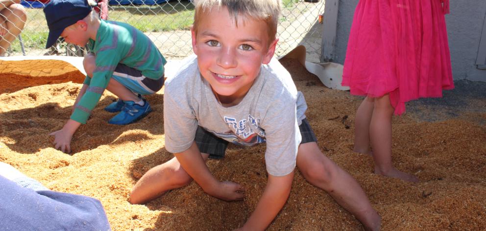 Balclutha boy Jacob Zwies (7) digs for treasure at Roxburgh’s Mt Benger A&P Show on Saturday....