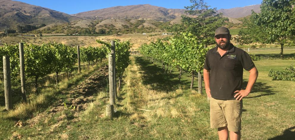 Peregrine Winery viticulturist Nick Paulin. Photo: Margot Neas.