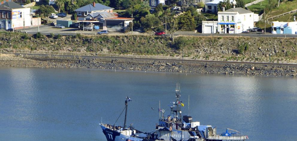 Sea Shepherd flagship Steve Irwin motors up  Otago Harbour yesterday. Photo: Stephen Jaquiery.