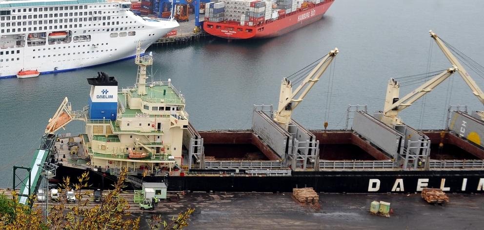 The bulk carrier DL Marigold (foreground) at Port Chalmers in 2013. The ship was ordered to leave New Zealand waters because it was contaminated. Photo by Craig Baxter. The bulk carrier DL Marigold (foreground) at Port Chalmers in 2013. The ship was ordered to leave New Zealand waters because it was contaminated. Photo by Craig Baxter.