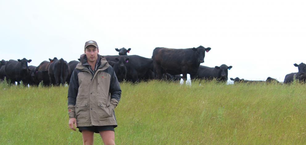 Allen Gregory with some of Mount Linton Station's Angus cows and calves. Photo by Nicole Sharp.