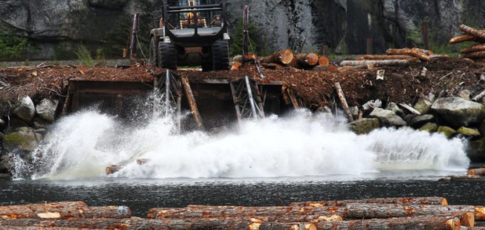 Logs are pushed into the water at Squamish Mills Ltd in Howe Sound near Squamish. Photo: Reuters