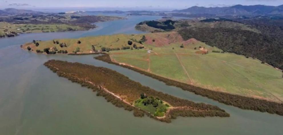 Motukaraka Island, in Hokianga Harbour, is being sold by its owners but local hapu Ngai Tupoto want the land to be a public reserve. Screengrab: NZ Herald/Bayleys