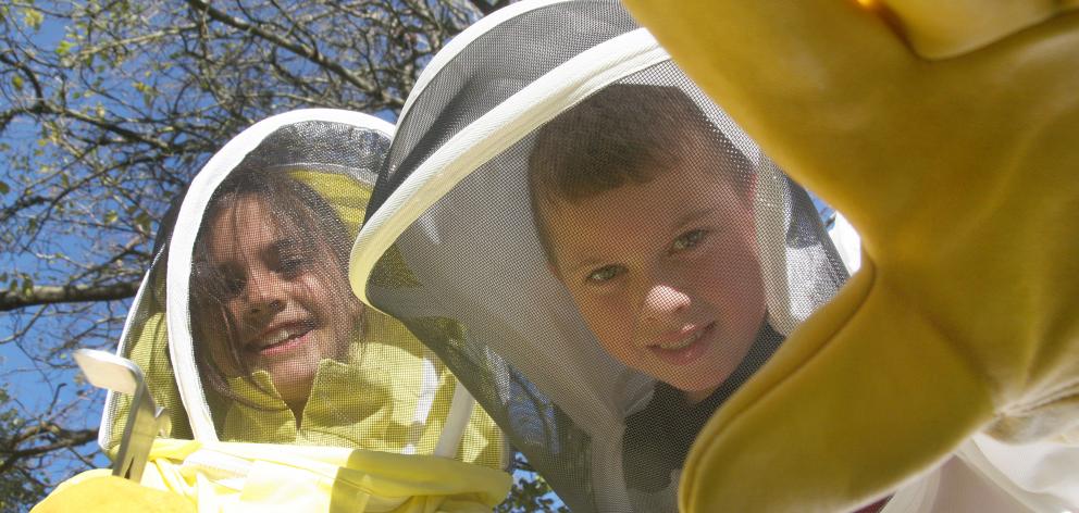 Hampden School pupils Hannah Burkeand Maihi Harrington (both 8) delve into the life of bees....