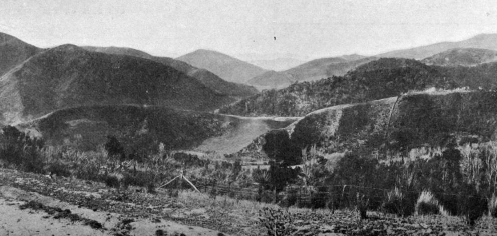 Panoramic view of the Upper Silverstream Valley from Leishman's Hill, Whare Flat. - Otago Witness, 27.6.1917.