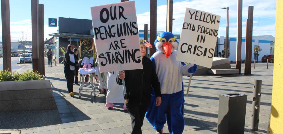 Forest and Bird South Otago members Clyde Gardener (left) and Ralph Cochrane lead a protest march...