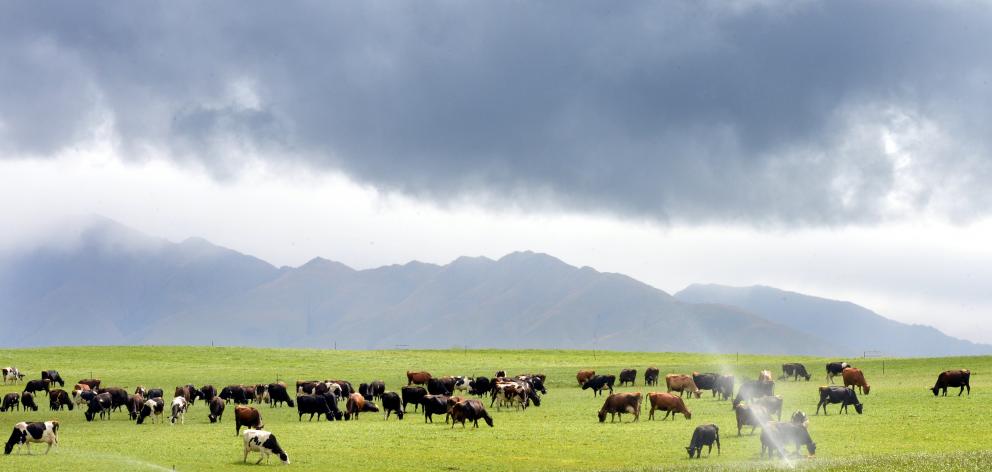 Paddocks in previously drought-prone North Otago transformed by irrigation. Photo: Stephen Jaquiery.