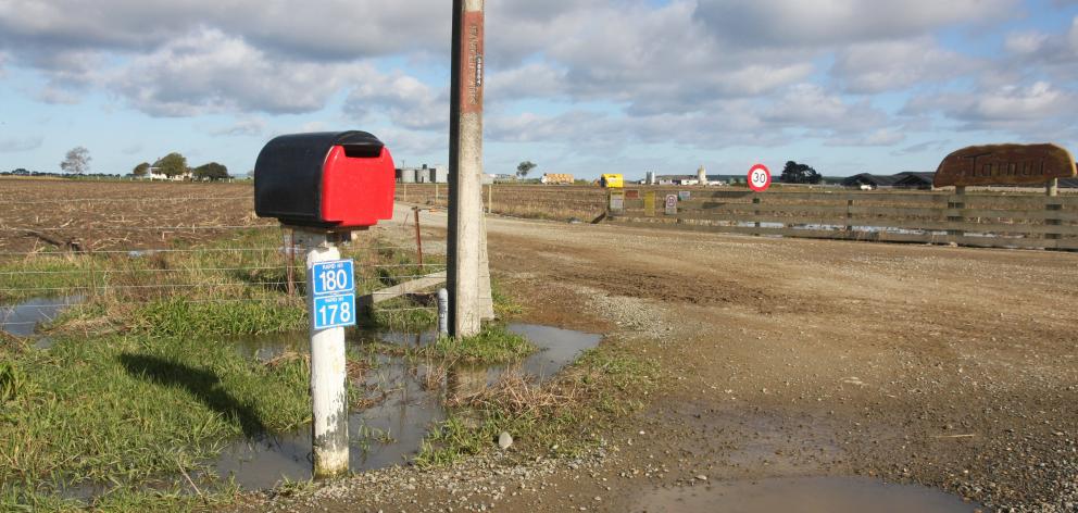 The original Van Leeuwen Dairy Group farm was found to have infected cattle last week. Photo:...