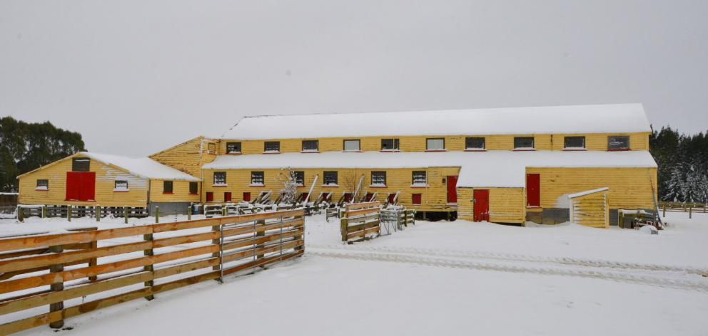 Wilden Station’s woolshed in snow in 2014. Photo: supplied.