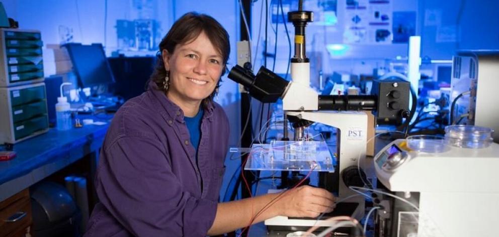 "Our ambitious goal is to be world leaders in early detection and diagnosis of skin cancers,"...