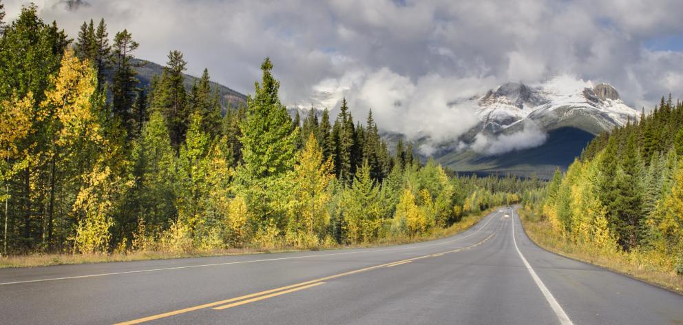 The Icefields Parkway, 230km of magnificence that connects Jasper with Lake Louise, has been...