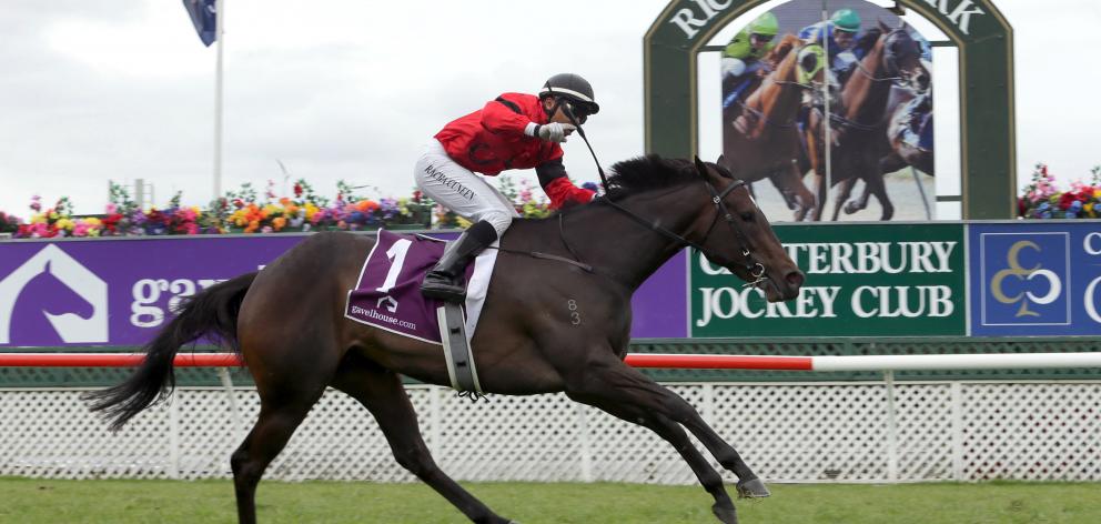 La Diosa, ridden by  Racha Cuneen, wins the 1000 Guineas at Riccarton on Saturday. 