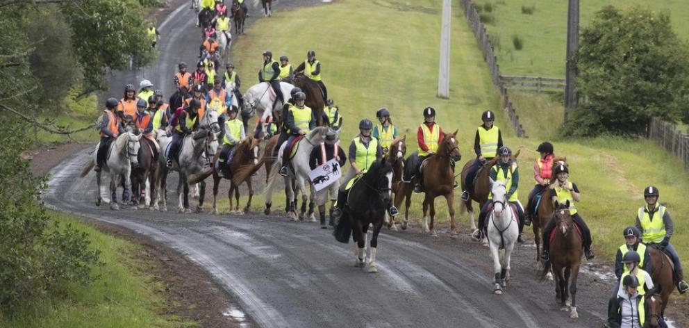 Dairy Flat is where Auckland journalist Karen Rutherford was severely injured and her horse killed after being struck by a driver. Photo: NZ Herald