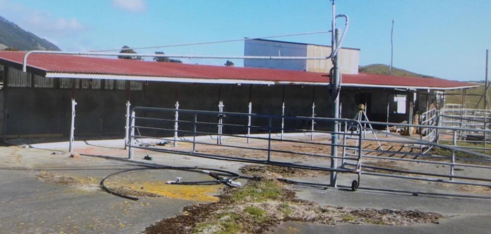 A former milking shed before it was converted into a farmstay. Photo: NZ Herald