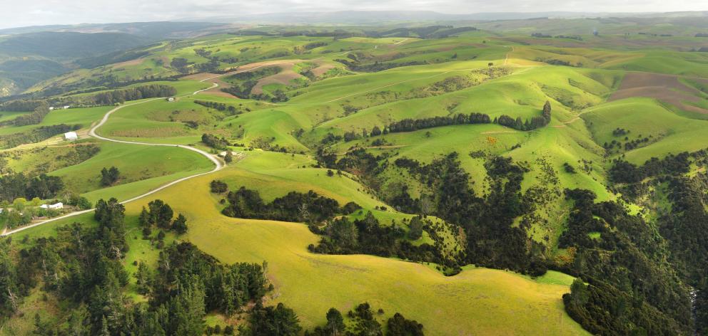Copper Road, near Waitahuna, has been sold by Landcorp. Photo: Stephen Jaquiery