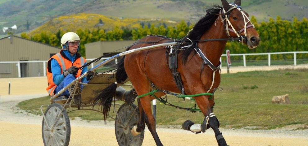 Rory McIlwrick and unraced juvenile Winsomechange in a recent training run at Roxburgh racecourse. Photo: Got It In One Photography