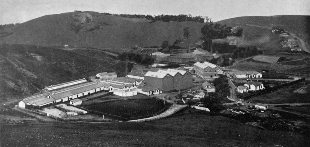  The Burnside Freezing  Works, near Dunedin. — Otago Witness, 26.12.1917.